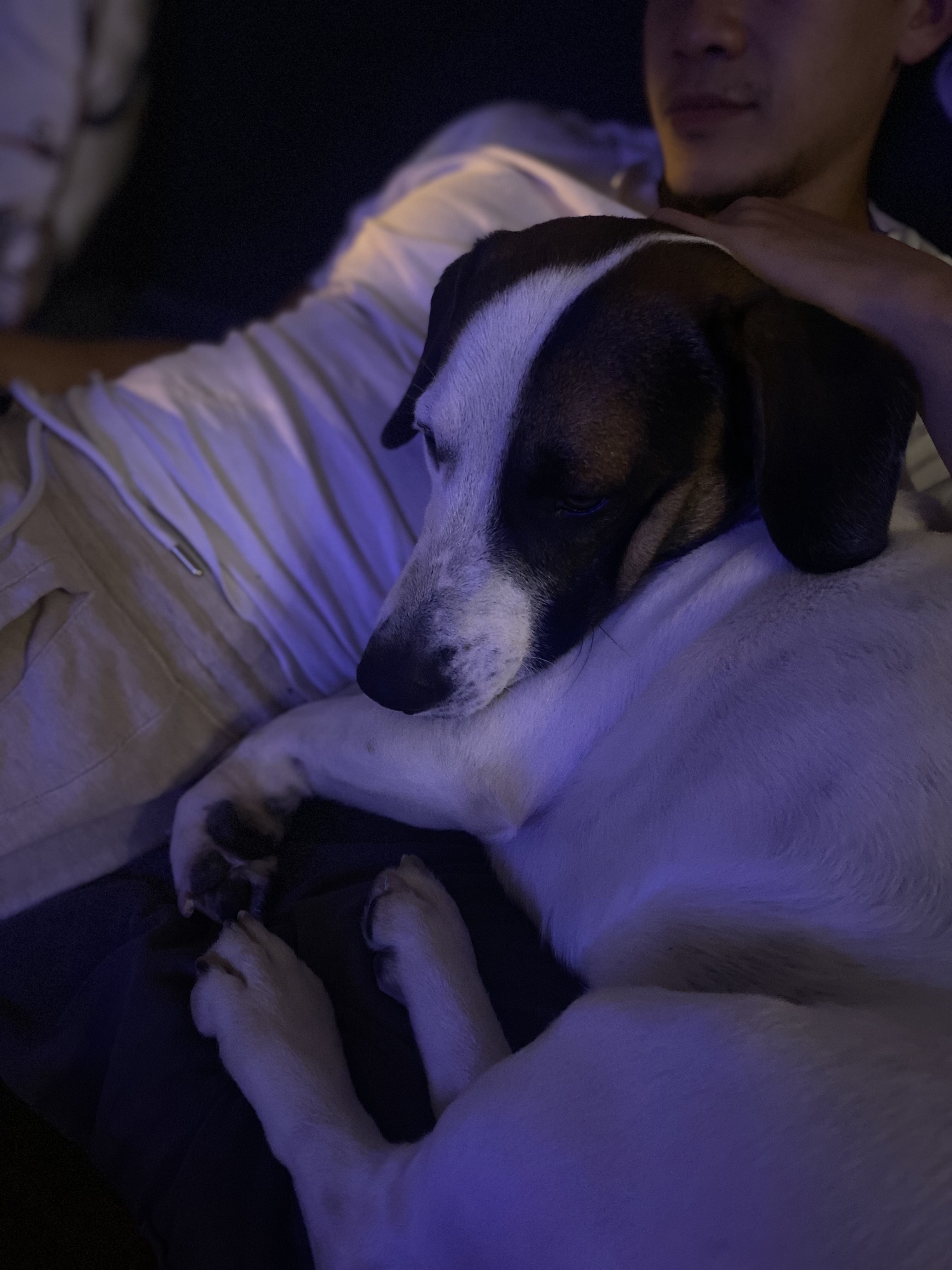 Coco